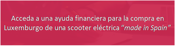 Cuadro de texto: Acceda a una ayuda financiera para la compra en Luxemburgo de una scooter elctrica made in Spain

