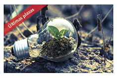 Imagen que contiene foto, árbol, hierba
Descripción generada automáticamente