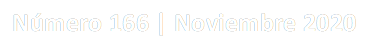 N迆mero 166 | Noviembre 2020