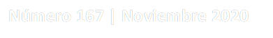 N迆mero 167 | Noviembre 2020