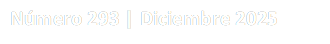 N�mero 293 | Diciembre 2025