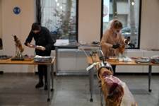 Mujer sentada en el piso junto a un perro
Descripción generada automáticamente con confianza media